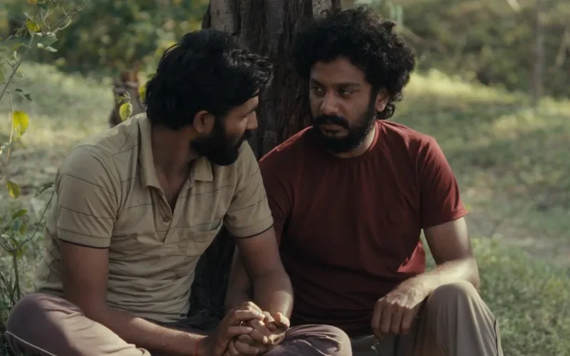 Cactus Pears Parents Guide