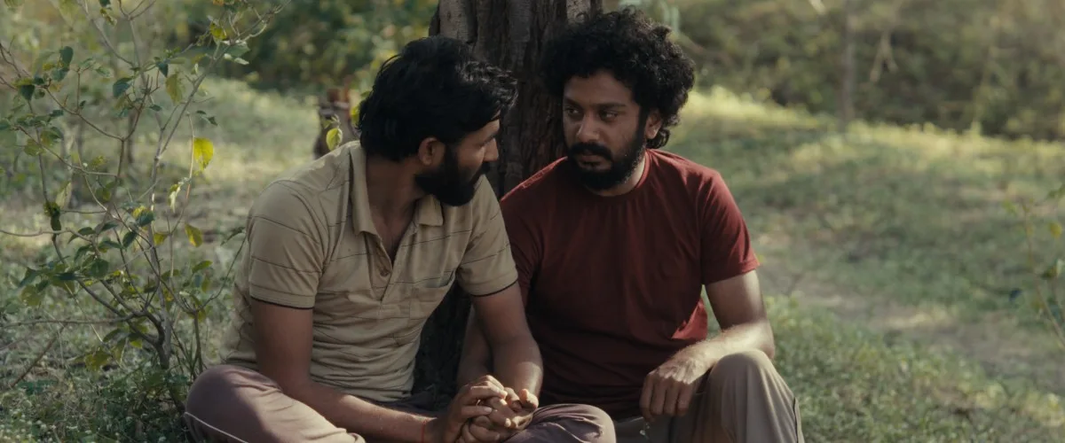 Cactus Pears Parents Guide