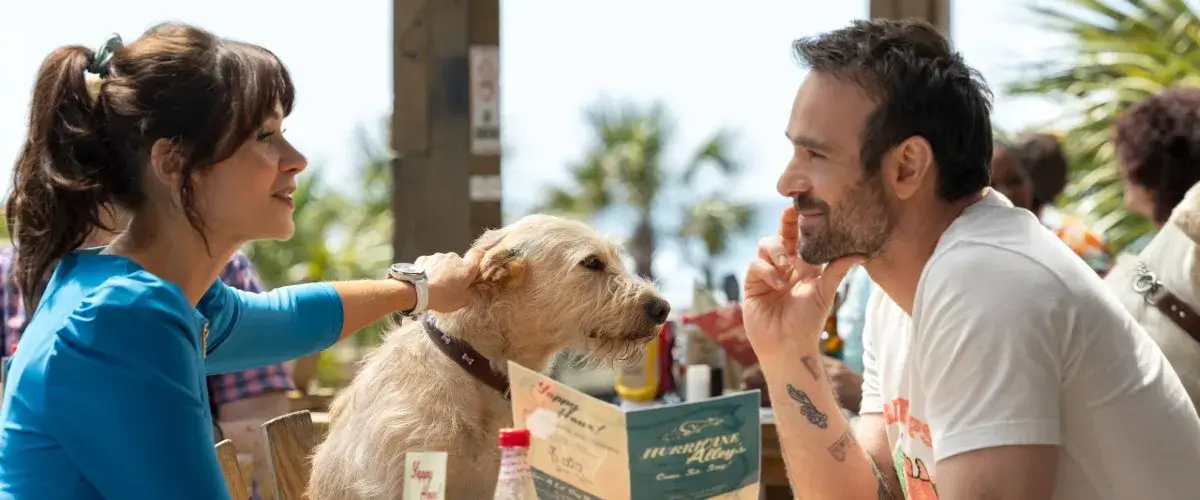 Merv (2025) Parents Guide